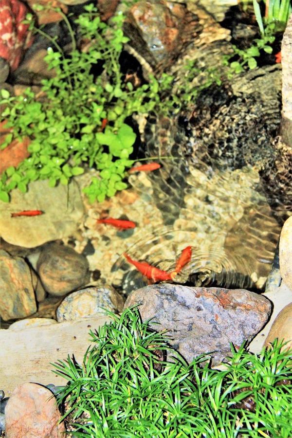 Guest house Tsubakian - - Vacation 29429v